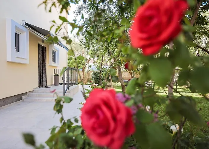 Shady Garden Apartamento