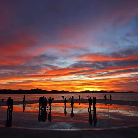 Lejlighed Shady Garden