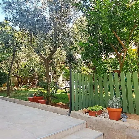 Shady Garden